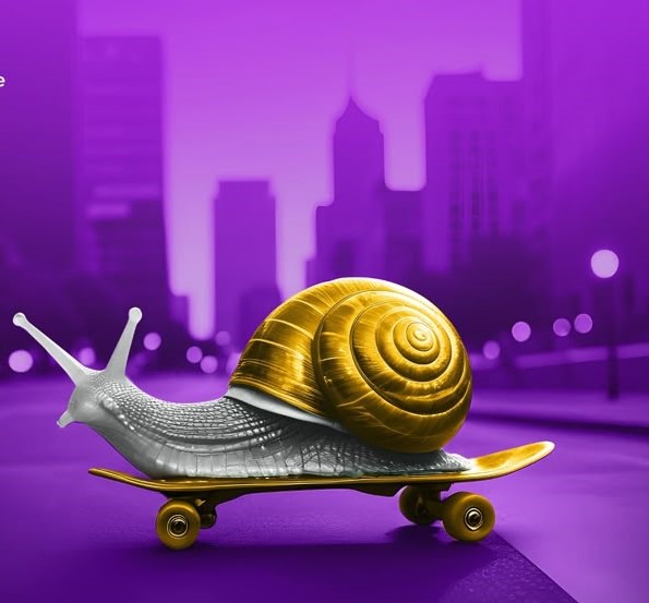 Search Engine Optimization Icon